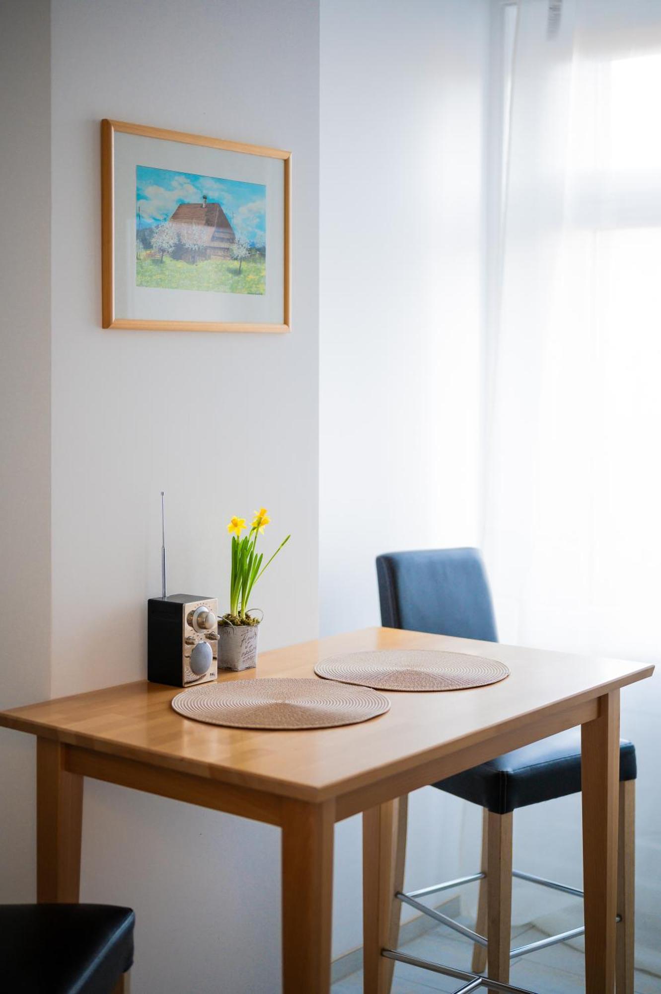 Gruben Apartments 2 Schlafzimmer Schaffhausen Eksteriør billede